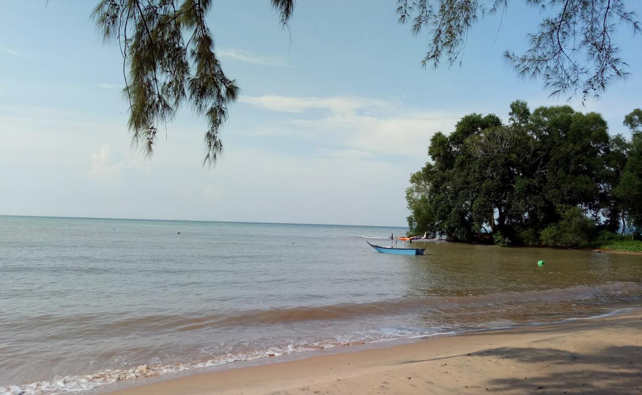 Photo of Telok Pelandok Beach with bright sand surface