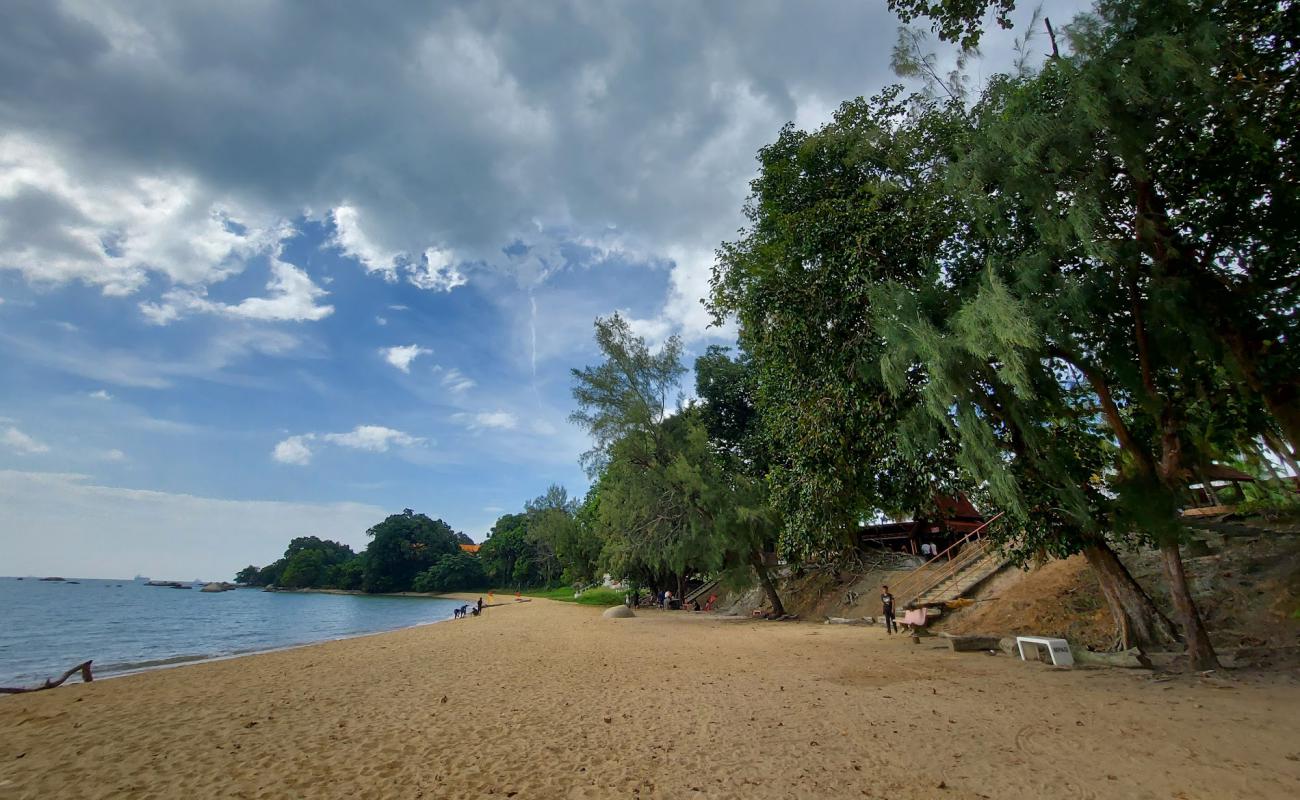 Photo of Tanjung Bidara Beach with bright sand surface