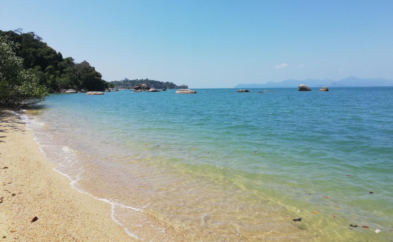 Photo of Wild Beach with bright sand surface