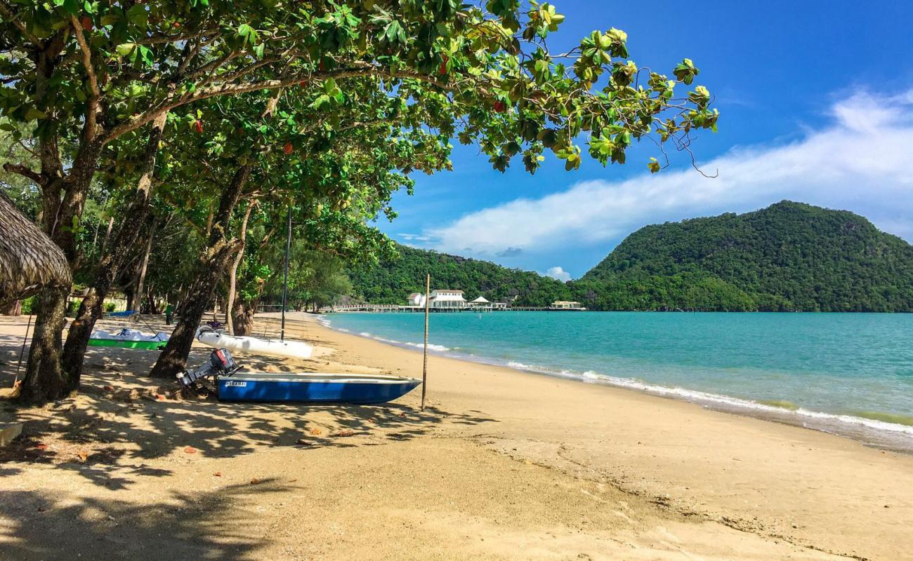 Photo of Datok Syed Omar Beach with bright sand surface