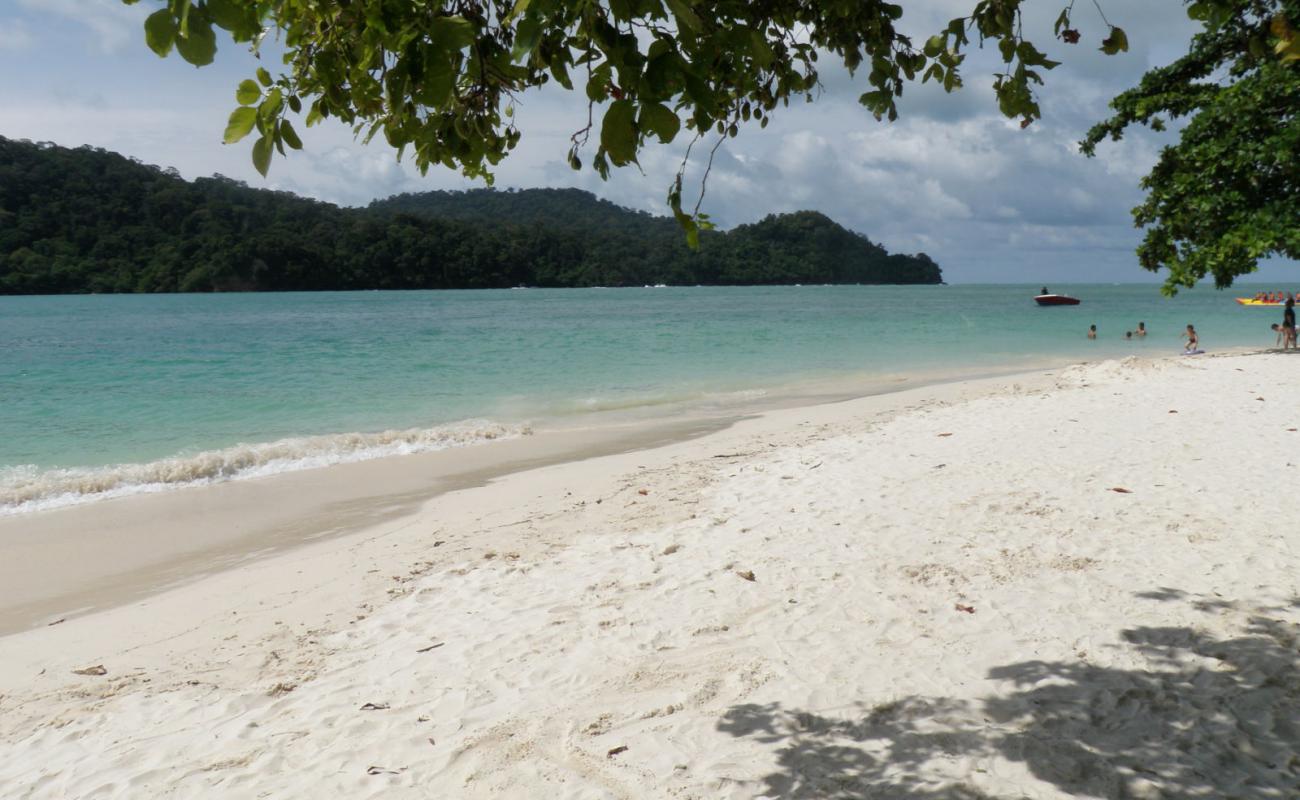 Photo of Beras Basah Beach with bright sand surface