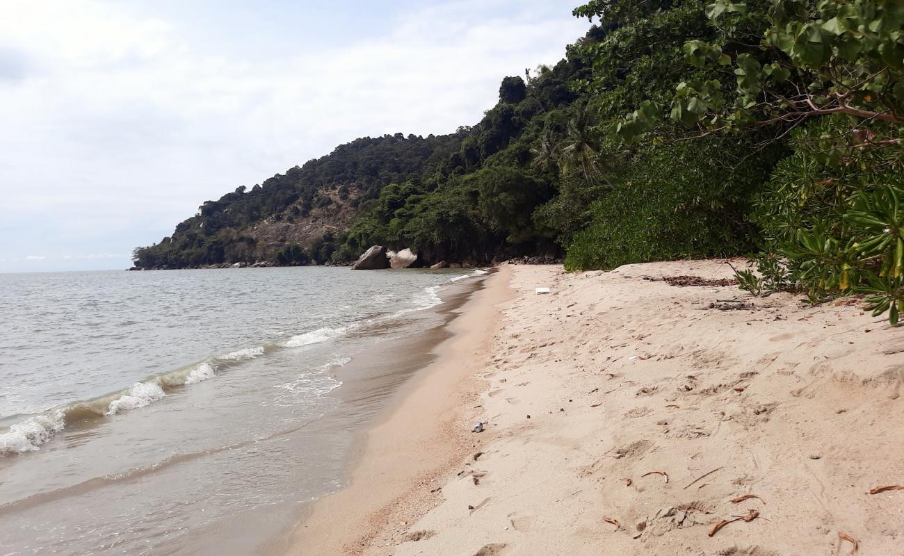 Photo of White Sand Beach with bright sand surface