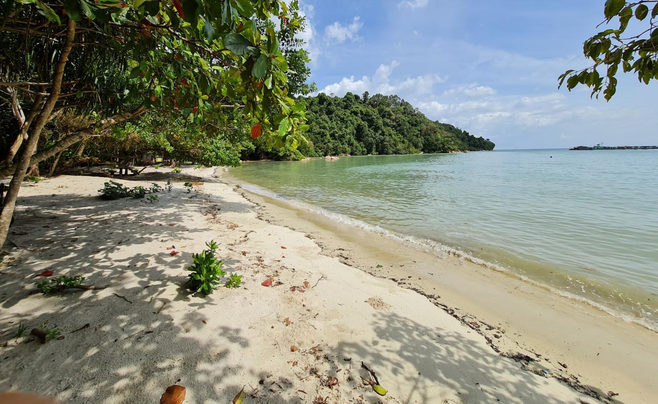 Photo of Adverlabs Beach with bright sand surface