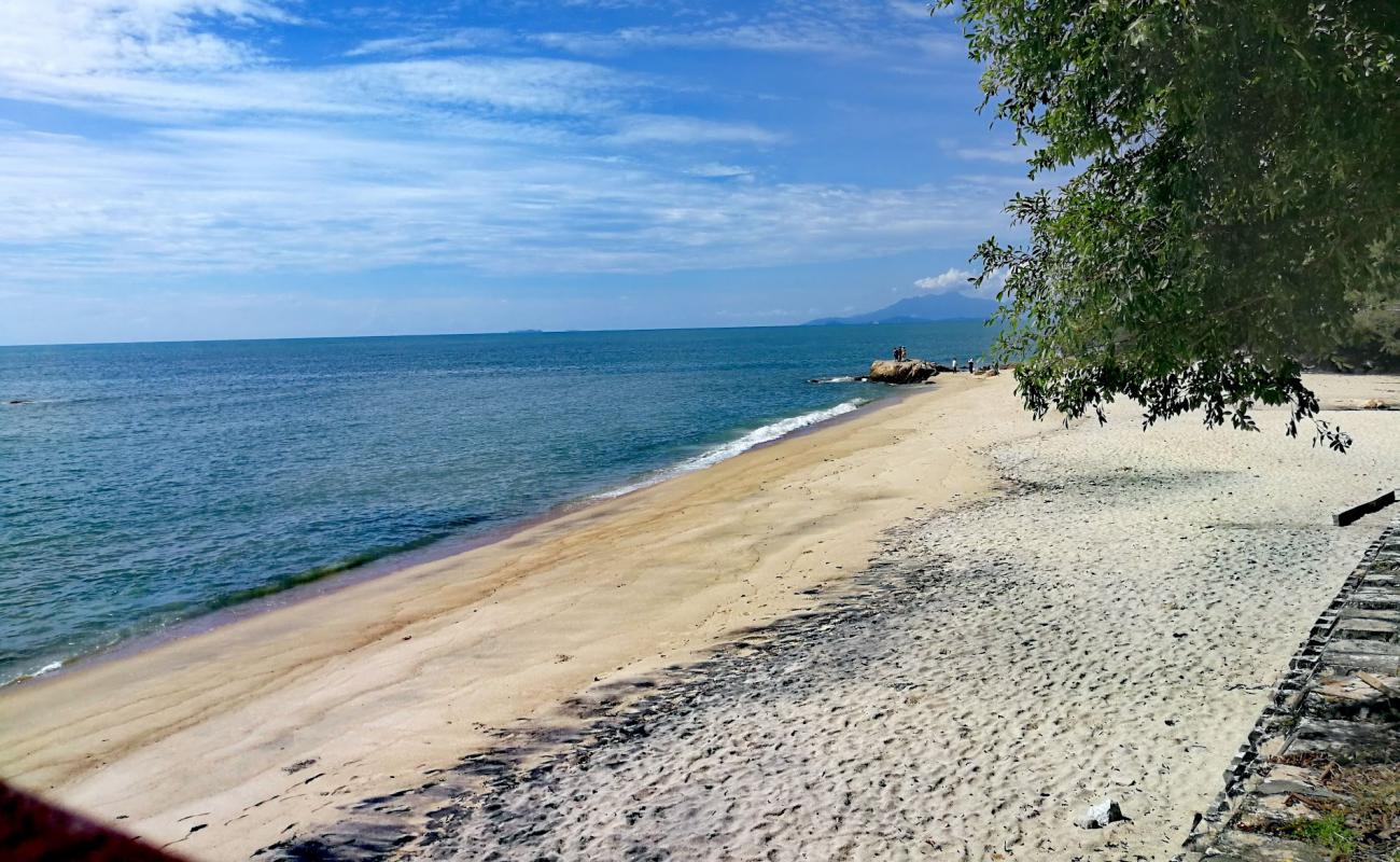 Photo of Tropical Beach with bright sand surface