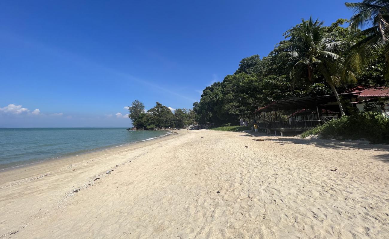 Photo of Moonlight Bay beach with bright sand surface