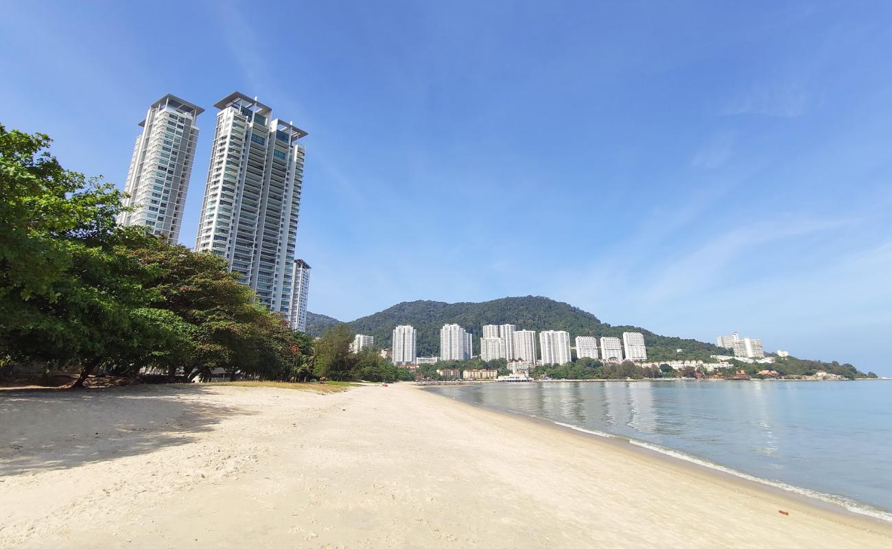 Photo of Tanjung Bungah Beach with bright sand surface