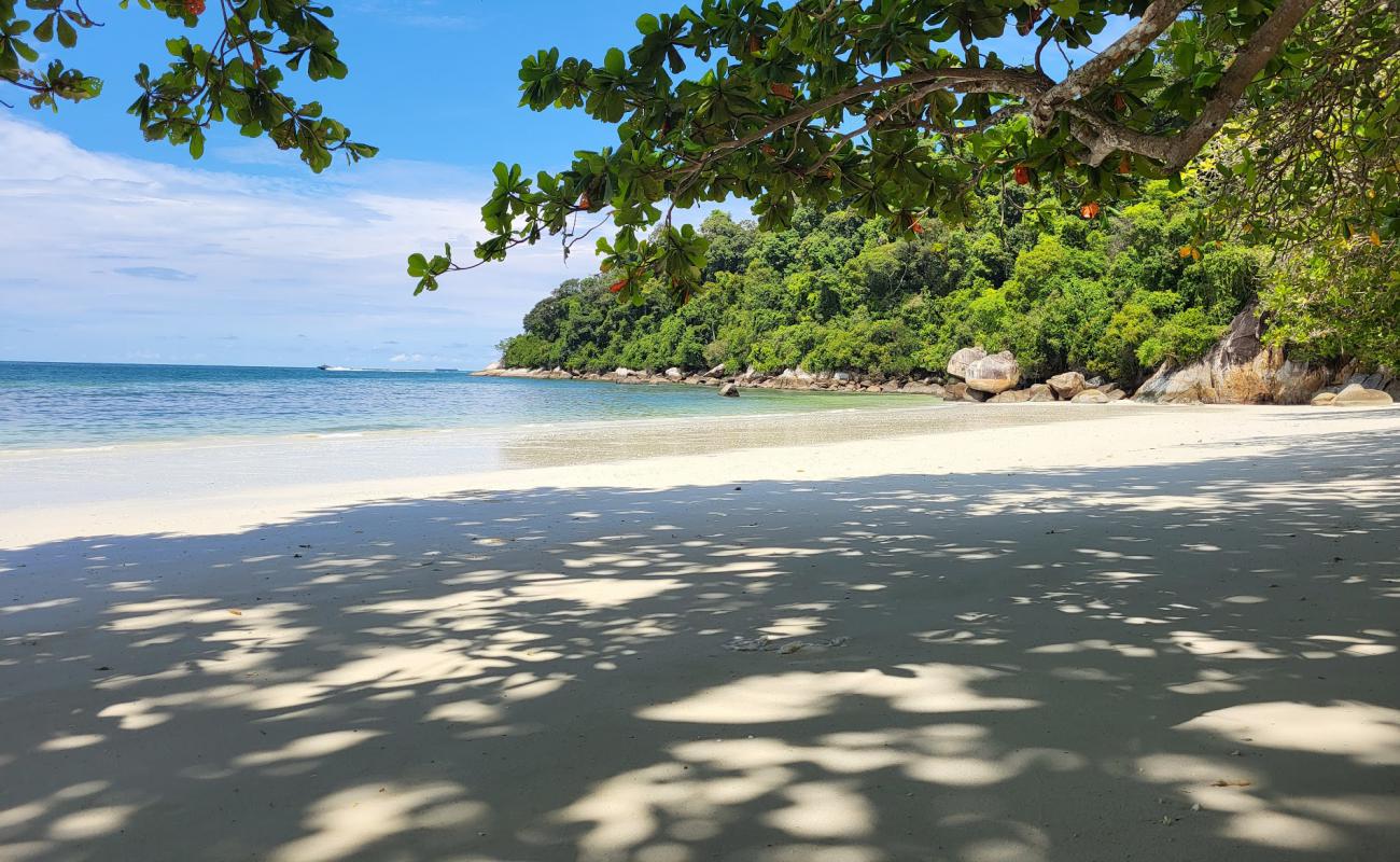 Photo of Teluk Segadas Beach with bright sand surface