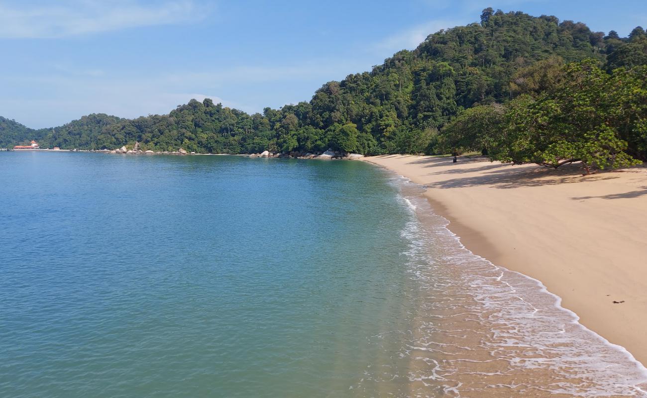 Photo of Ketapang Beach with bright sand surface