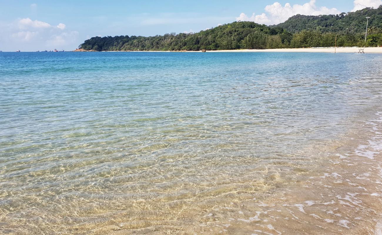 Photo of Teluk Kalong Beach with bright sand surface