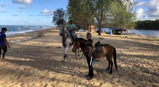 Merchang Beach