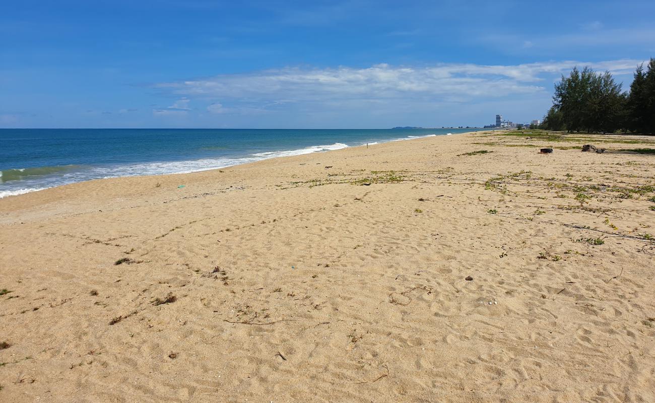 Photo of Teluk Ketapang Beach with bright sand surface