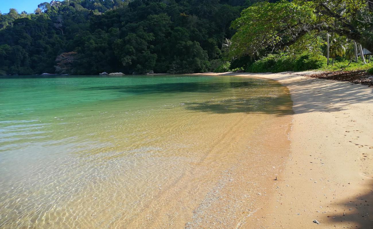 Photo of Monkey Bay with bright sand surface