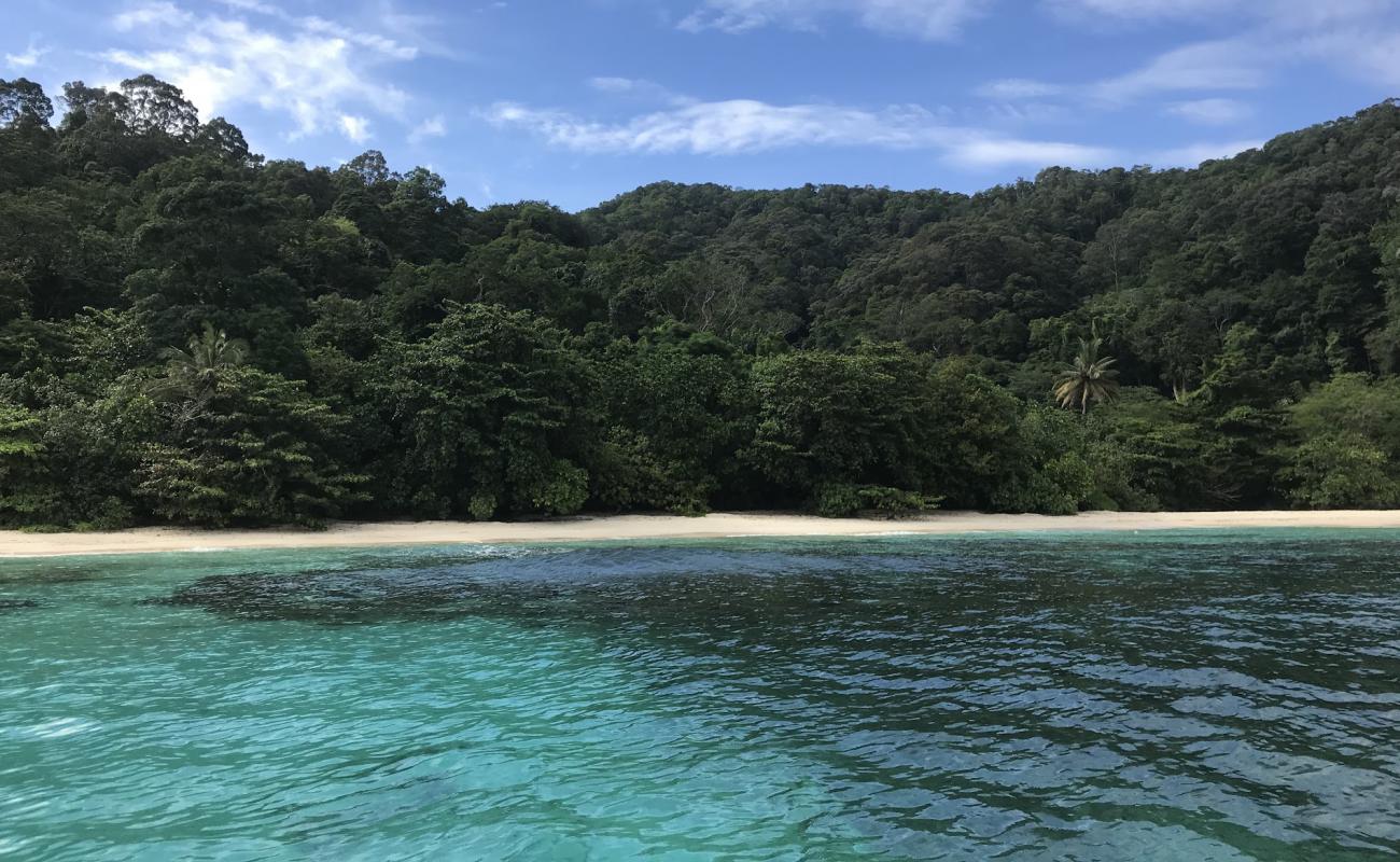 Photo of Sunset Beach with bright sand surface