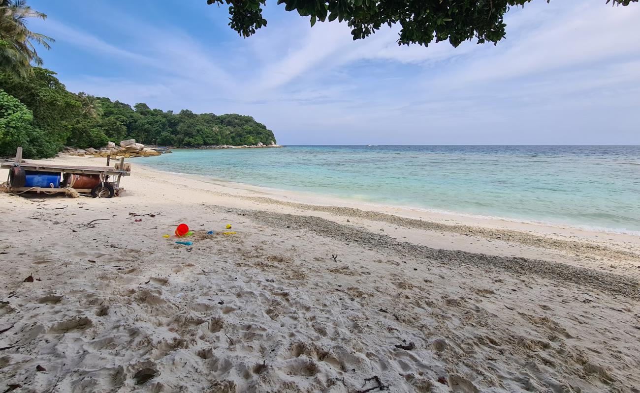 Photo of DCL Resort Beach with bright sand surface