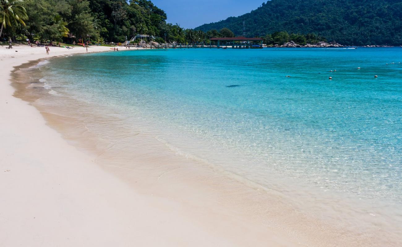 Photo of Teluk Pauh Beach with bright fine sand surface