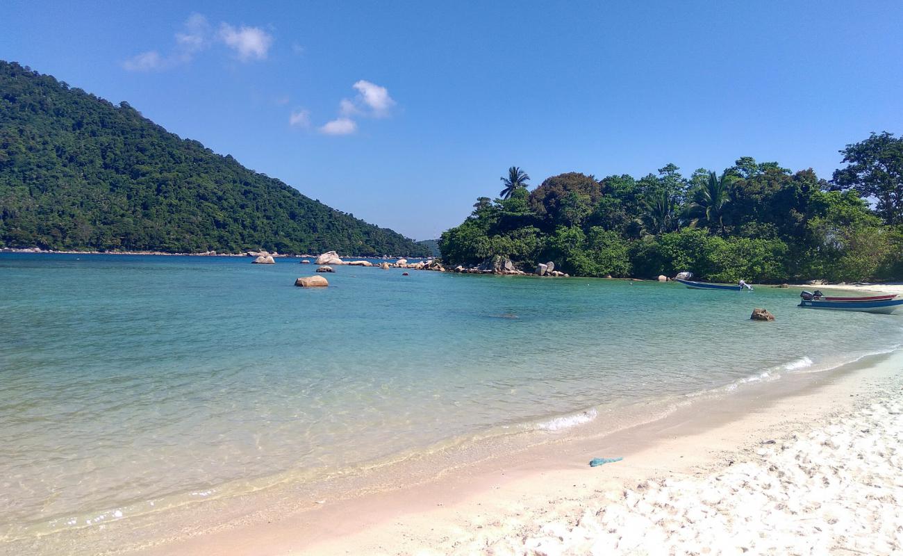 Photo of Turtle Bay Beach with bright sand surface