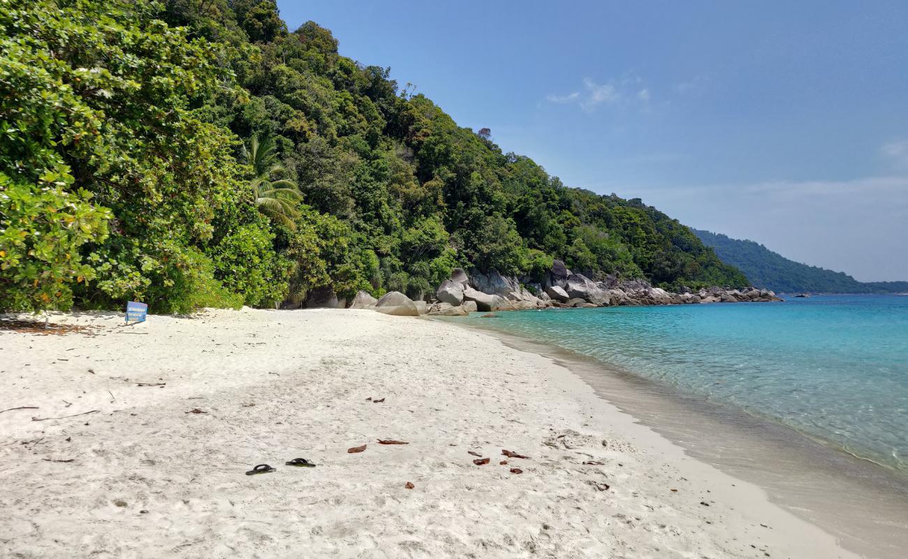 Photo of Turtle Beach with bright sand surface