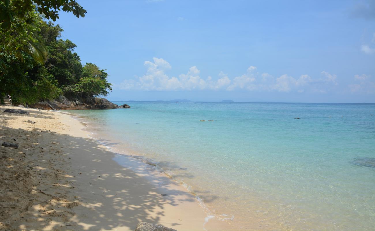 Photo of Rainforest Beach with bright sand surface