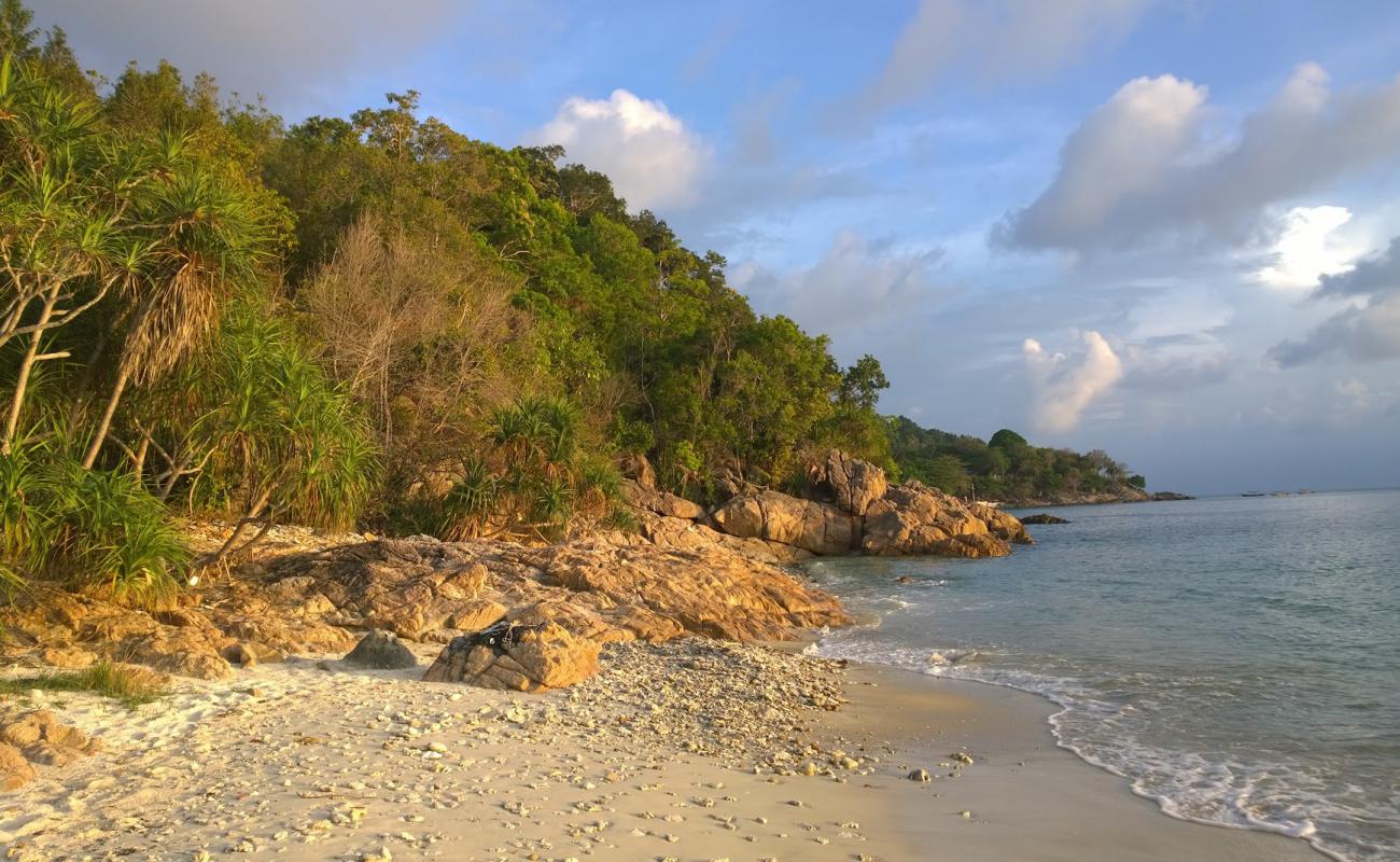 Photo of Cenderawasih Beach with light sand &  pebble surface