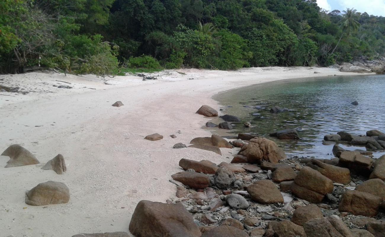 Photo of Landing Beach with bright sand surface