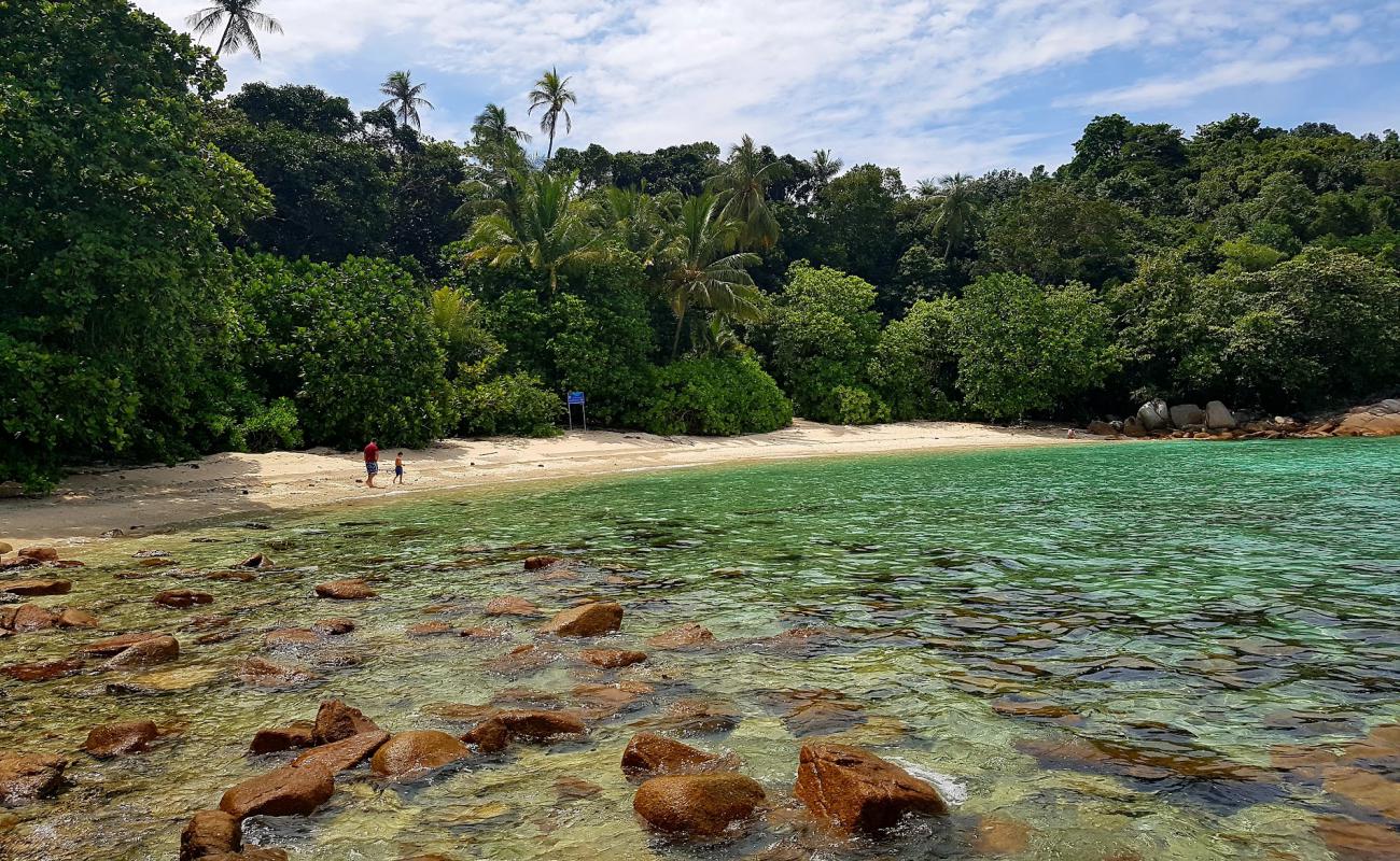 Photo of Adam and Eve Beach with bright sand surface