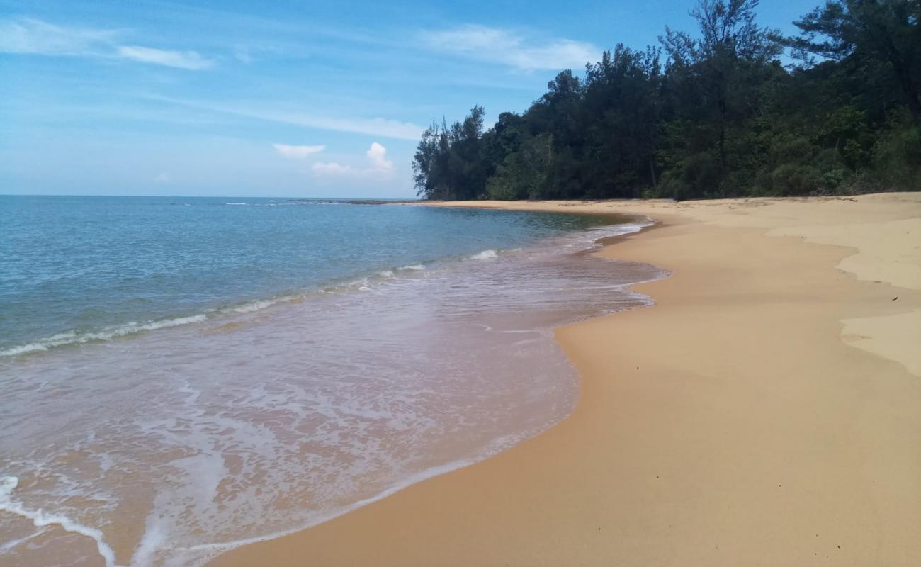 Photo of Turtle Beach with bright sand surface