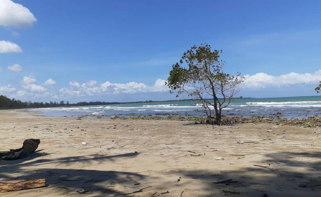 Photo of Tagupi Laut Beach with bright sand surface