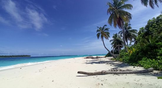 Faruhulhudhoo Beach