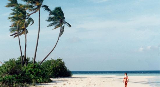 Rakeedhoo Beach