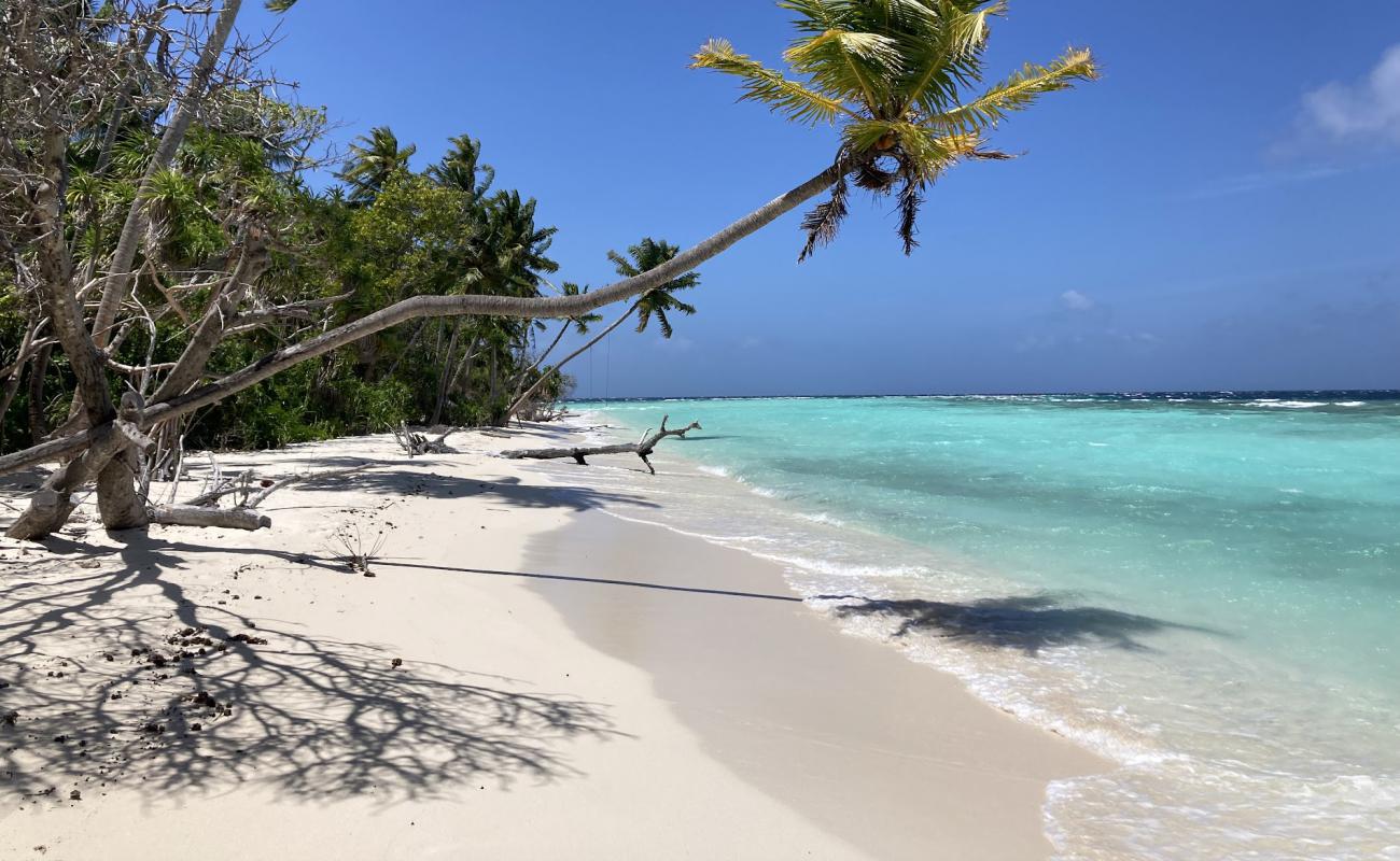 Photo of Omadhoo Beach with white sand surface