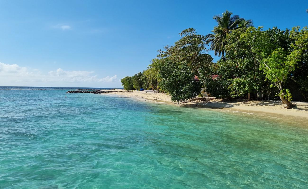 Photo of Rashdoo Beach with bright sand surface