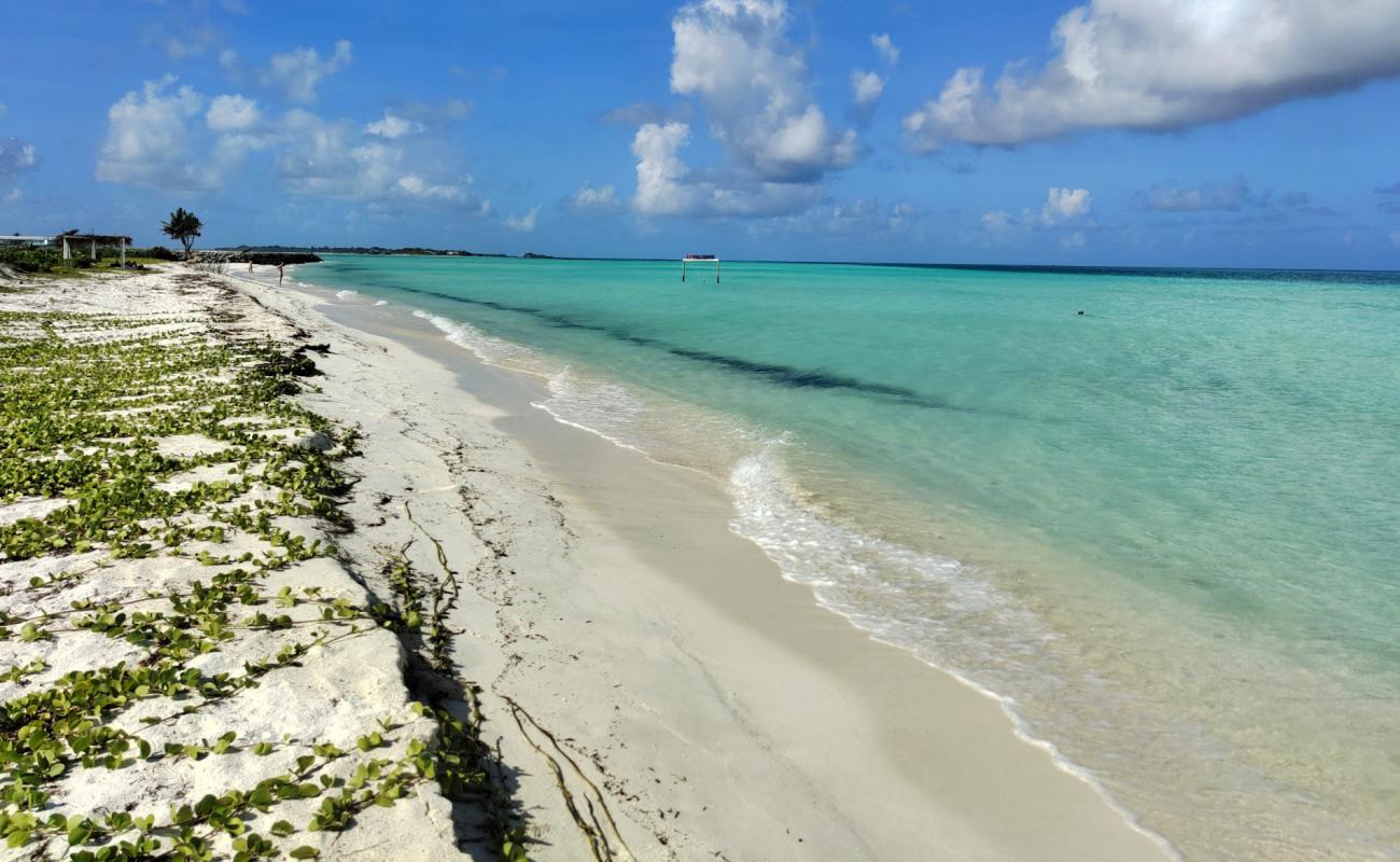 Photo of Dream Beach Thulusdhoo with white sand surface