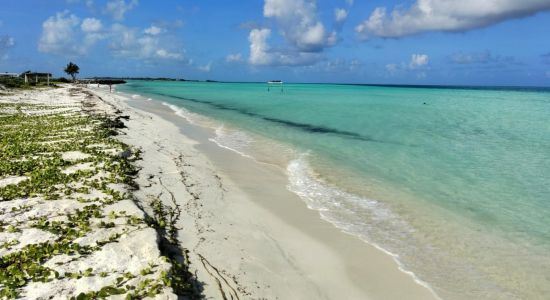 Dream Beach Thulusdhoo