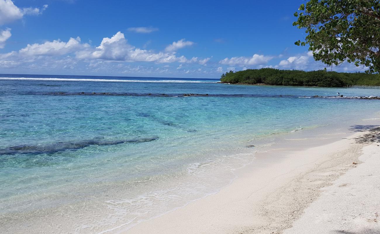 Photo of Canopus Retreat Thulusdhoo with white sand surface