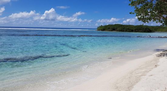 Canopus Retreat Thulusdhoo