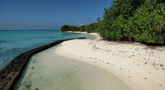 Rasfari island