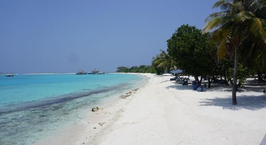 Kanifushi Beach