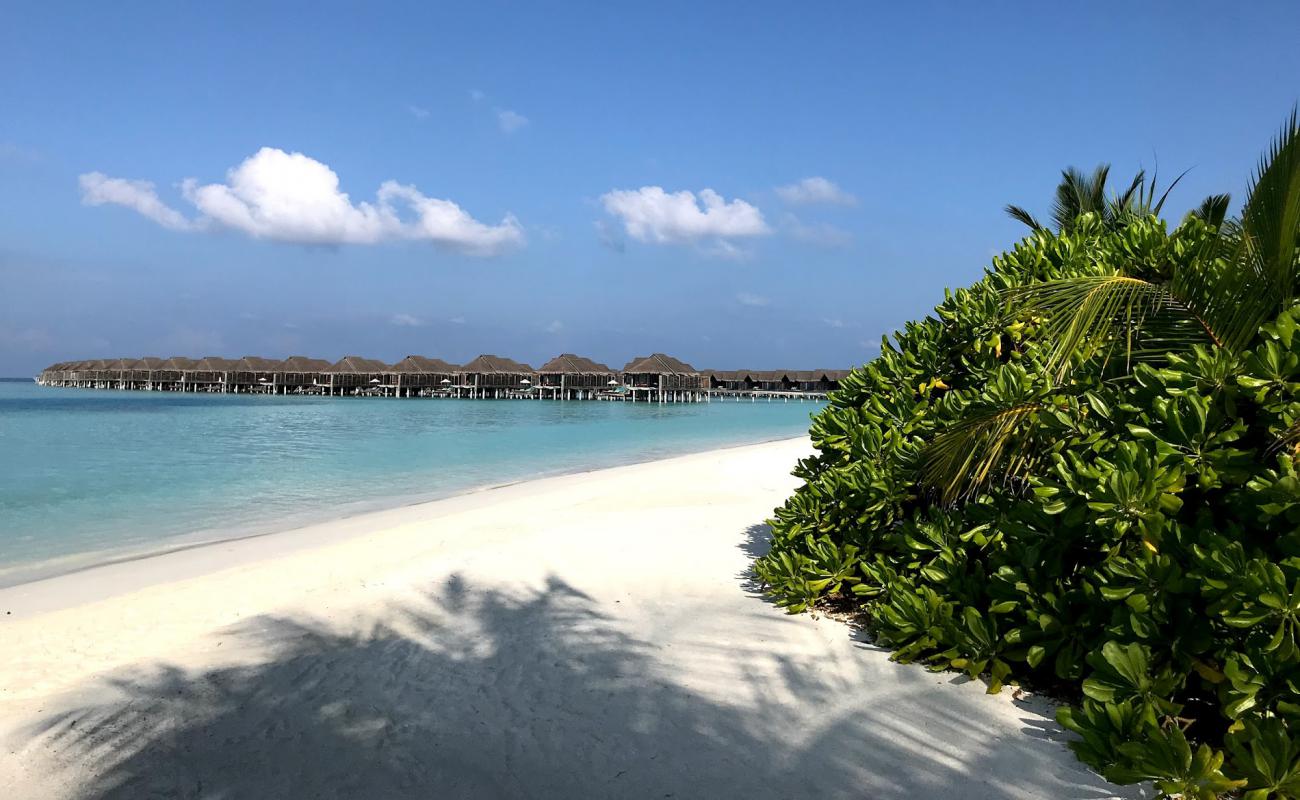 Photo of Kihavah huravalhi Island Beach with white fine sand surface