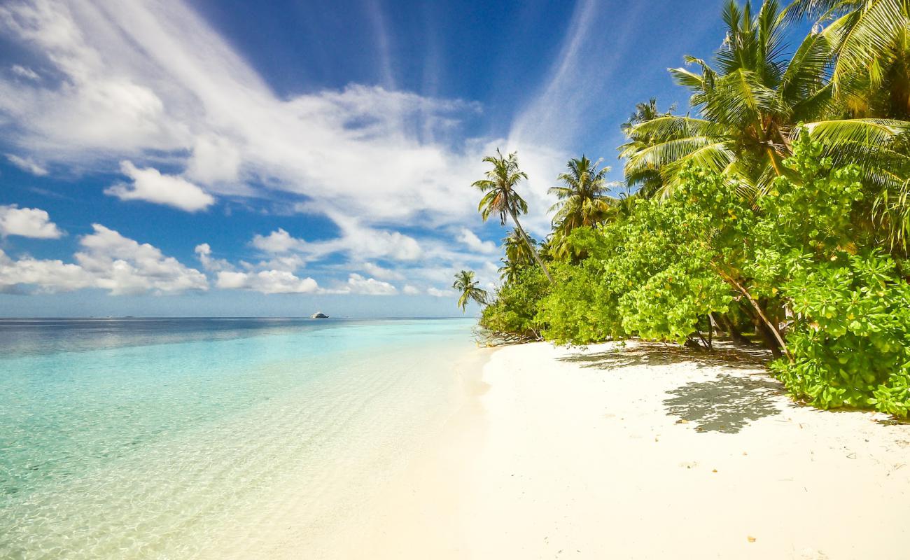 Photo of Sea of Stars Beach with bright sand surface