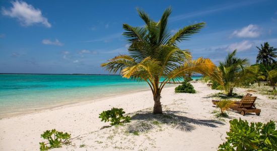 Meedhupparu Island Beach