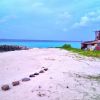 Velidhoo bitsy beach