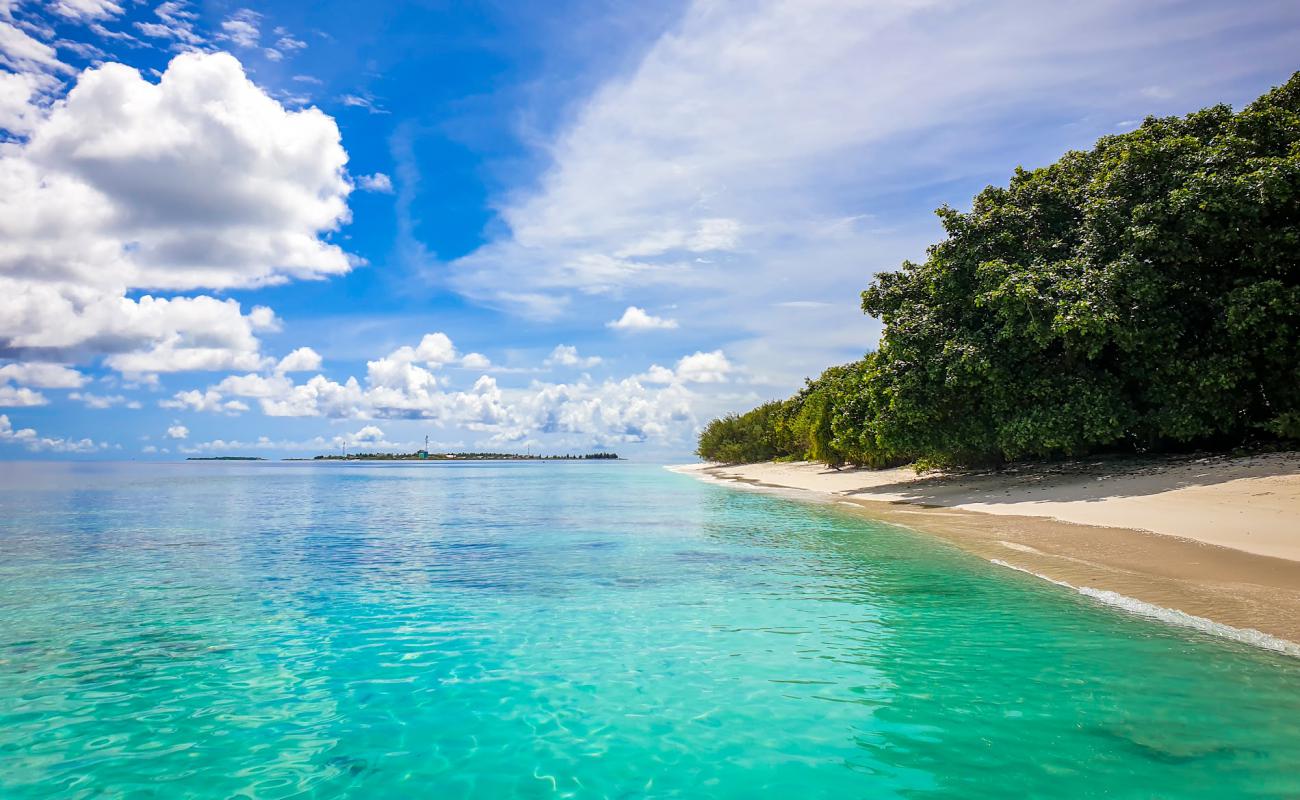 Photo of Dhidhdhoo beach with white sand surface