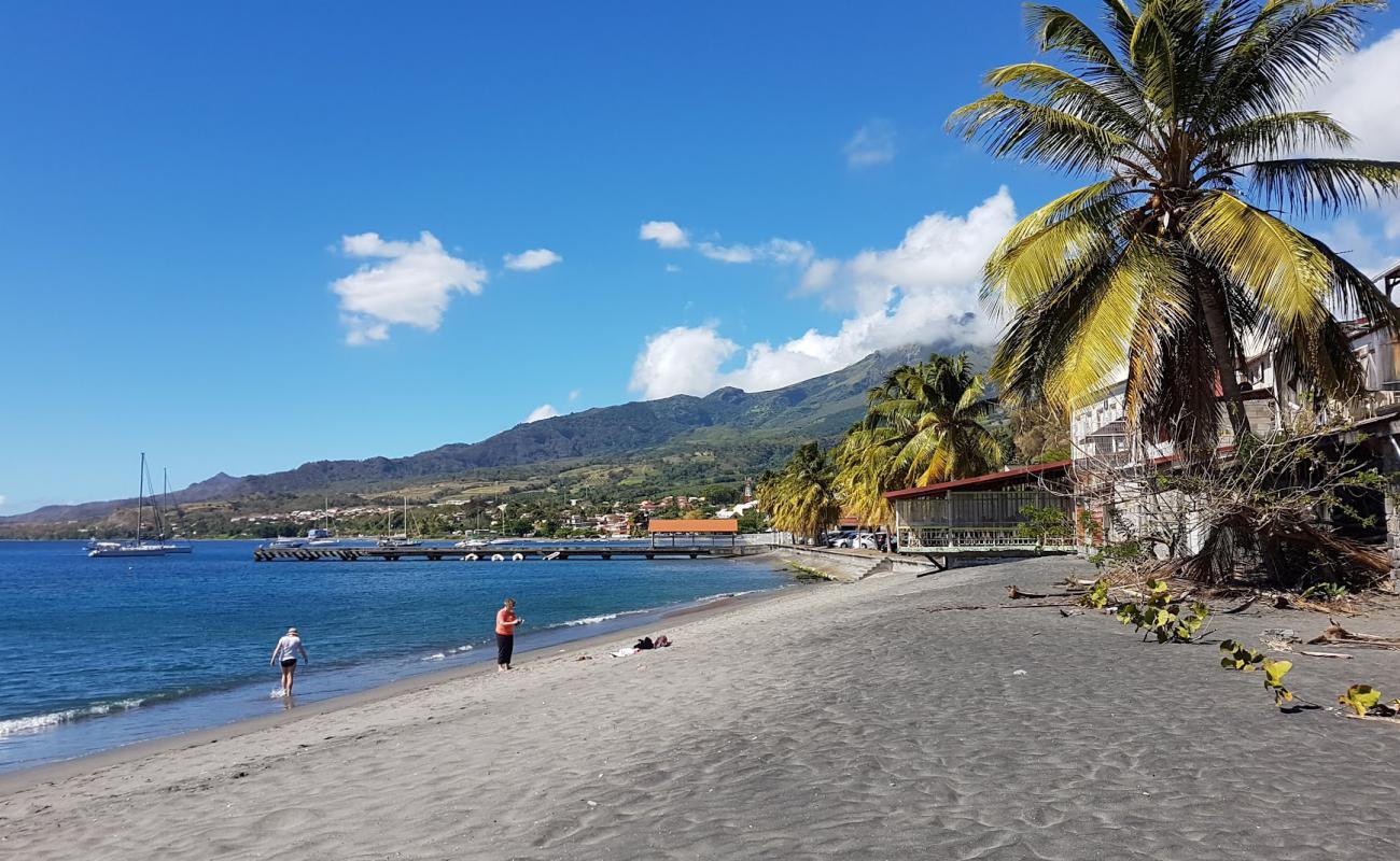 Photo of Bela beach with bright shell sand surface