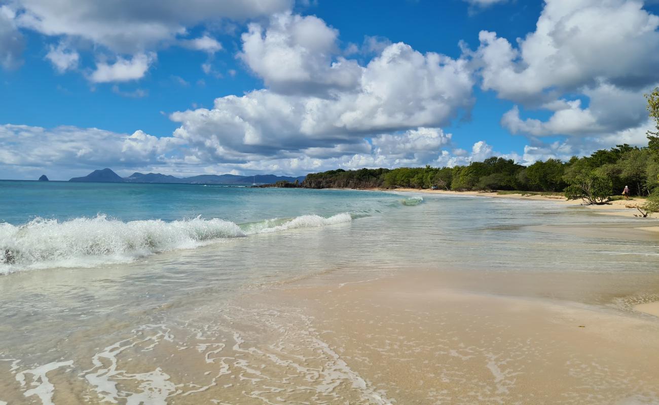 Photo of Petite Anse des Salines with bright sand surface