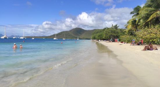 Sainte-Anne Beach