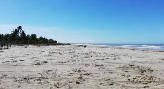 Playa Pico de Oro