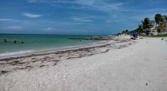 Playa Chuburna Puerto