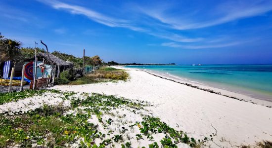 Playa Punta Esmeralda