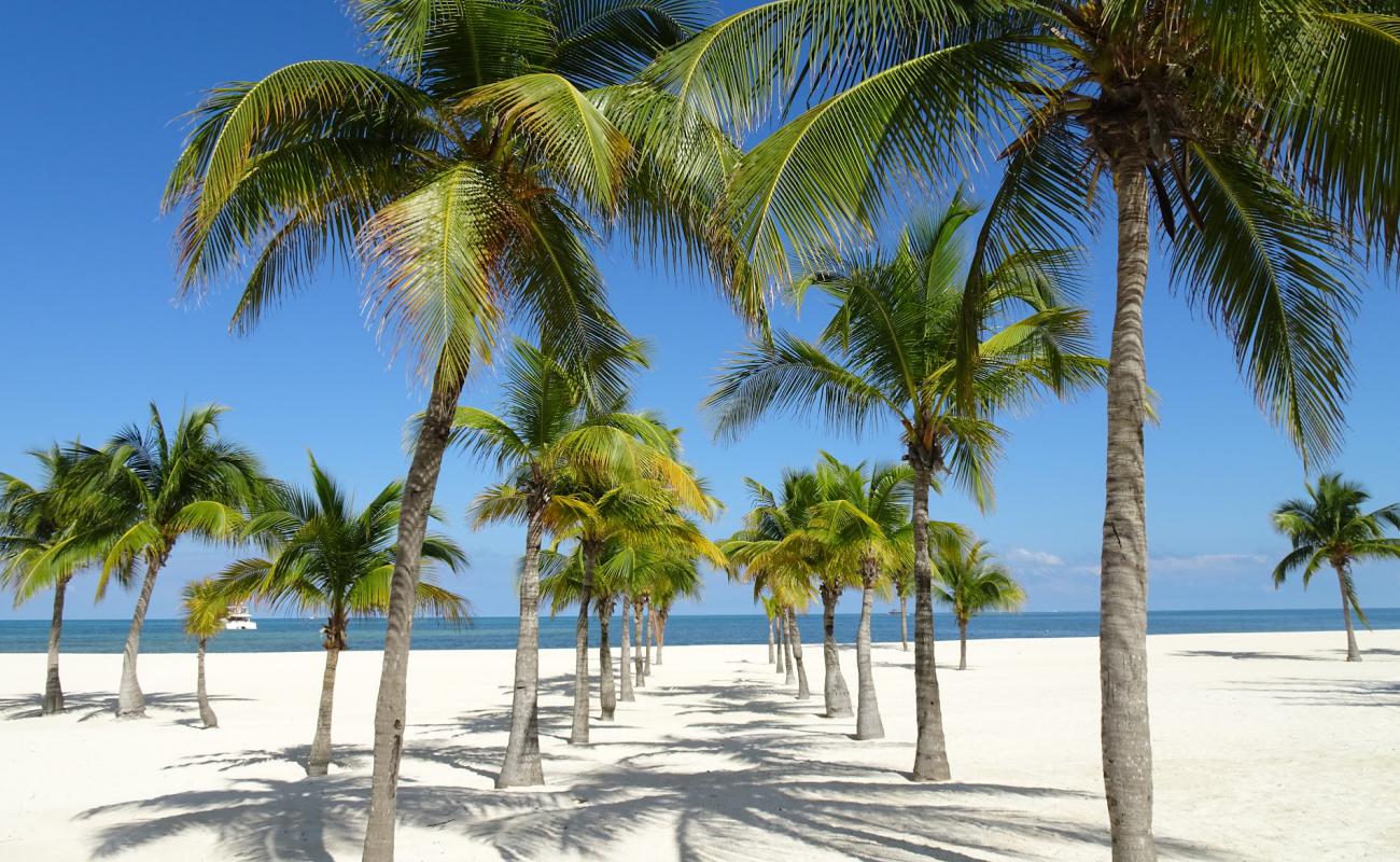 Photo of Isla de Pasion with white fine sand surface