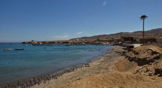 Bahia Tortugas Beach